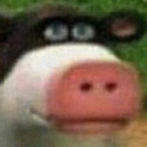 Meet your Posher, Tommy